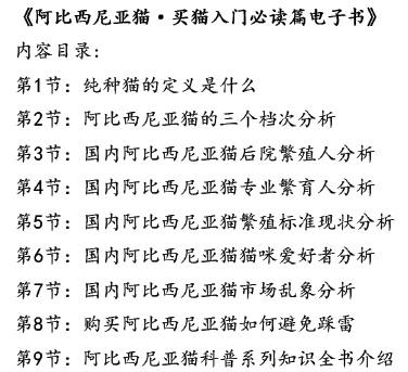阿比西尼亚猫专业喂养方式详解篇 | 世界名宠俱乐部
