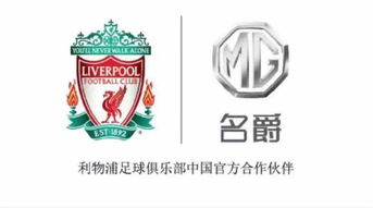 挚爱相伴，全力前行 宁波荣和与世界名宠俱乐部共话人与宠物的温暖旅程