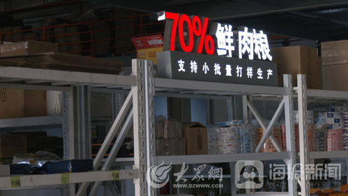 山东一贯宠物用品 以高质量产品冲刺宠物经济赛道，领跑世界名宠俱乐部